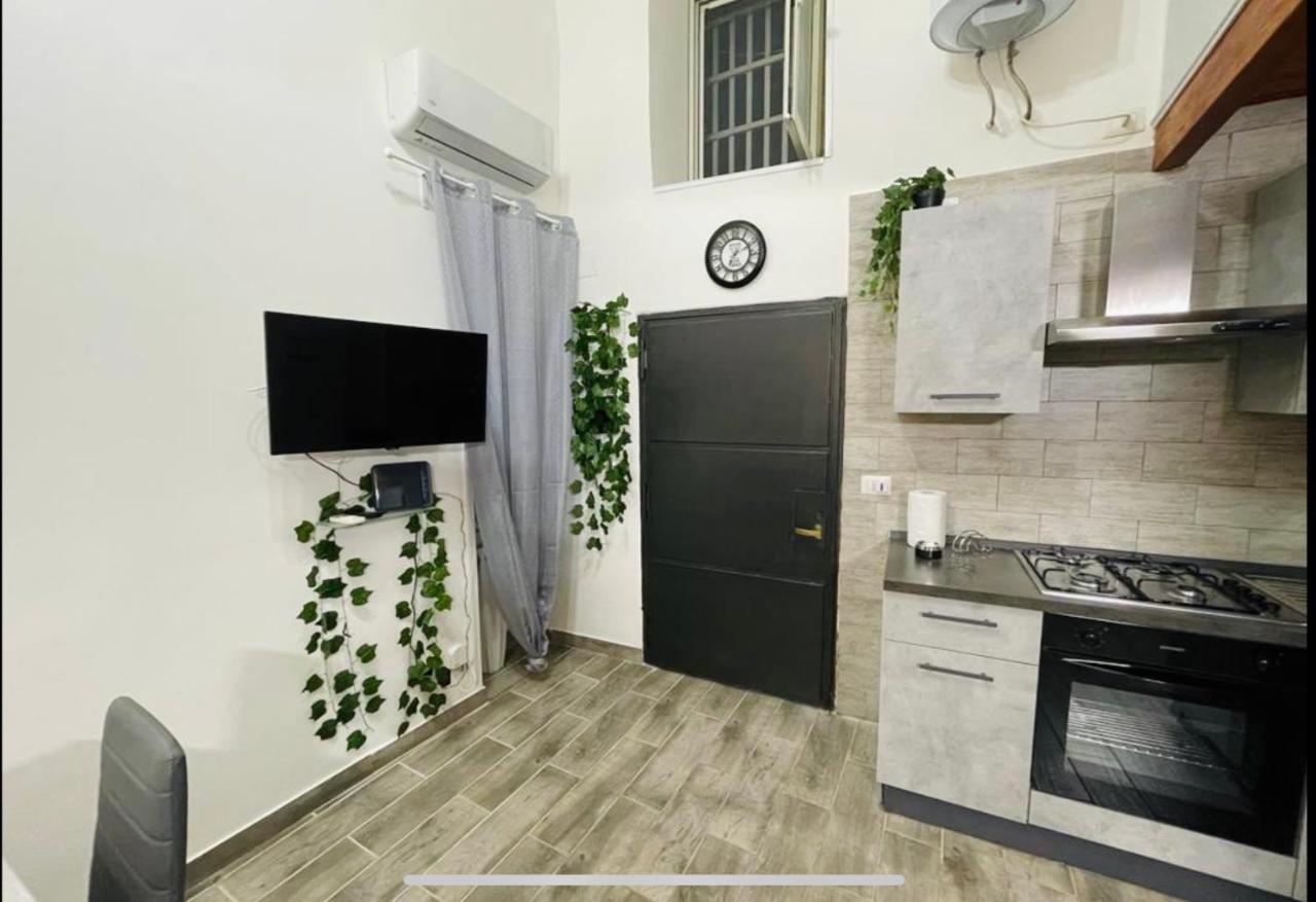 Qs House *